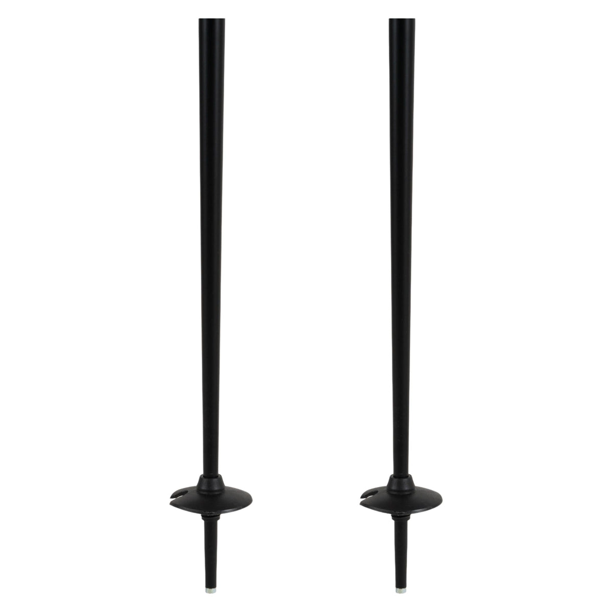 Triad Adult Ski Poles