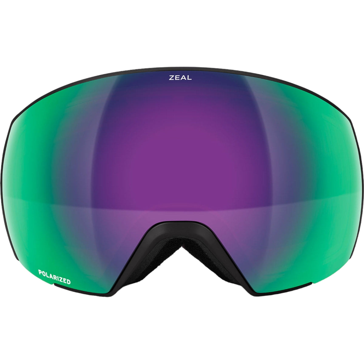 Hangfire Adult Ski Goggles