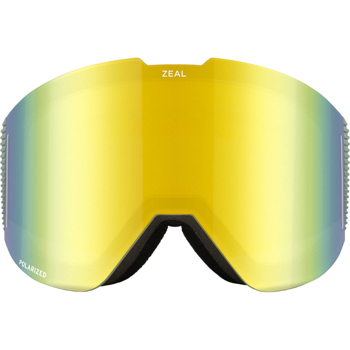 Lookout Adult Ski Goggles