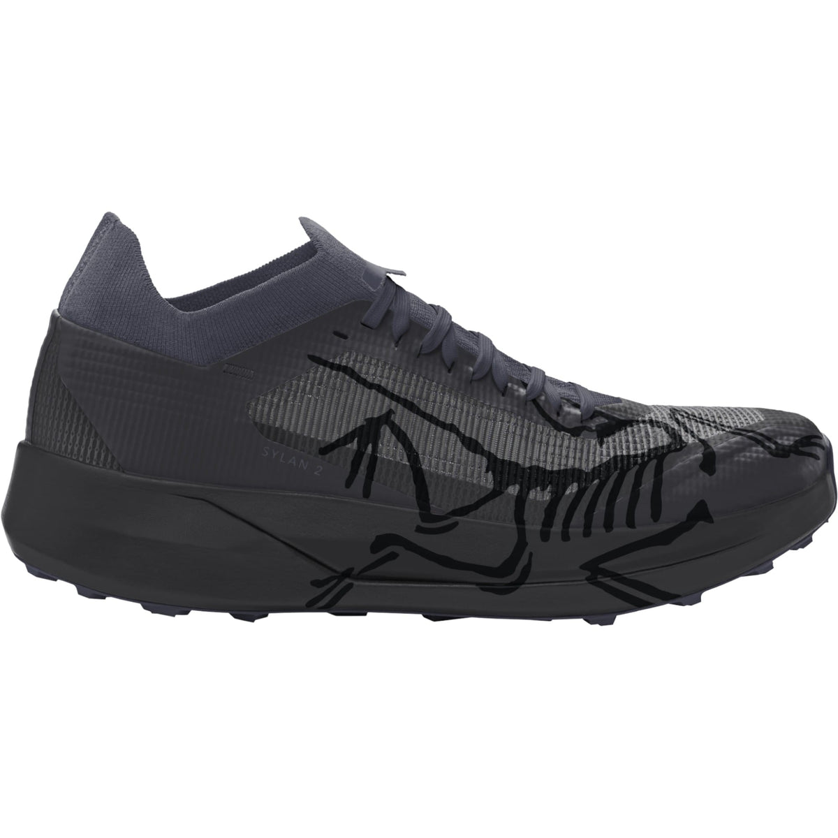 Sylan 2 Men Trail Running Shoes