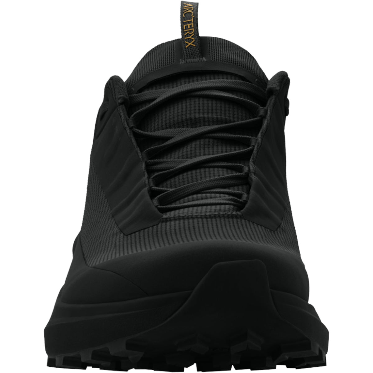 Arc'teryx Noir/Noir.001704 4.5