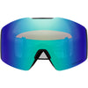 Fall Line L Adult Ski Goggles