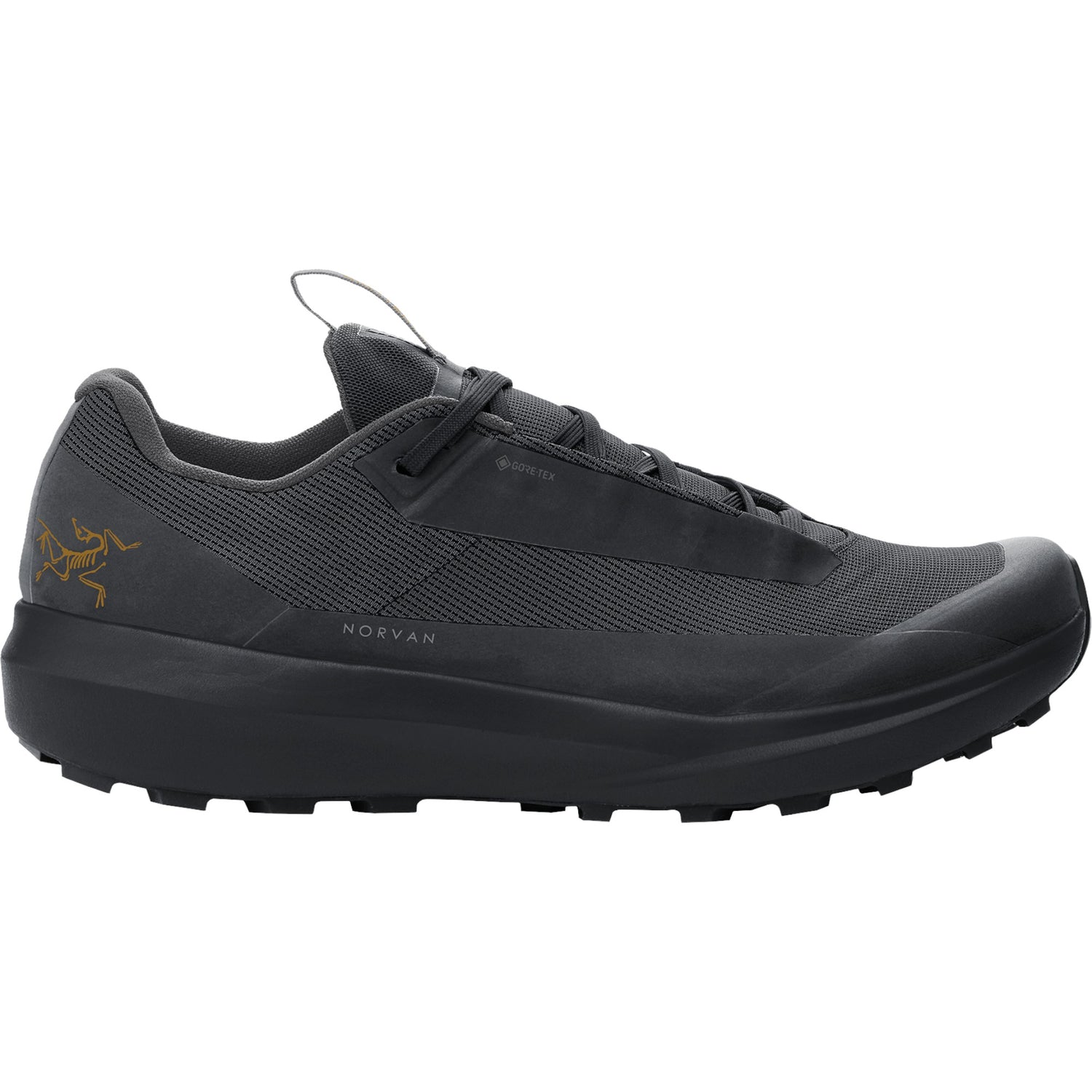 Norvan LD 4 Gtx Men Trail Running Shoes