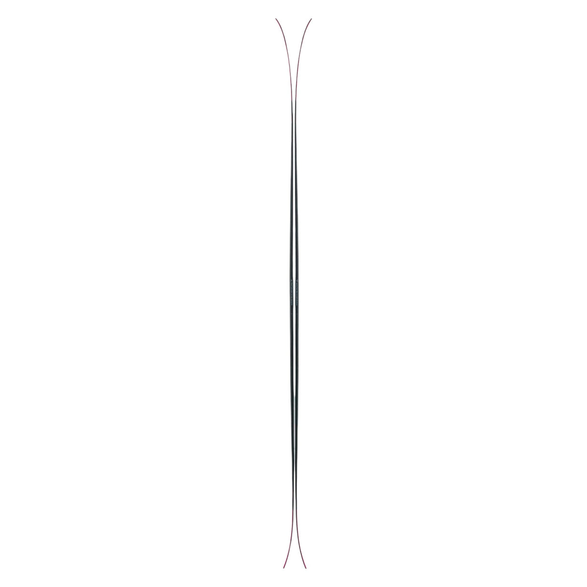 Corvus Men Alpine Skis