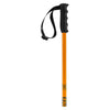 Prodigy Adult Ski Poles
