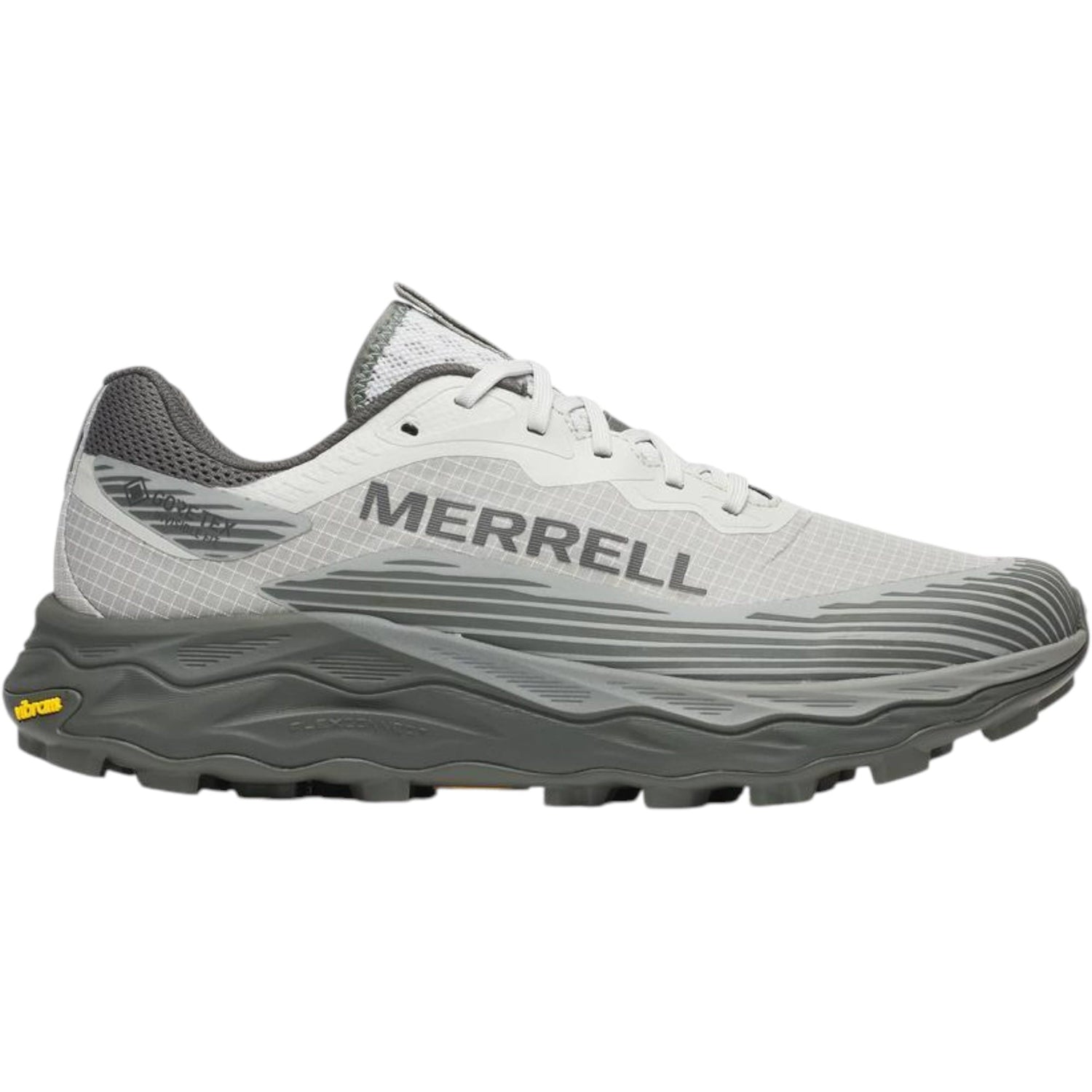 Souliers de Course de Sentier Agility Peak 6 GTX Homme
