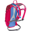 L.U.X.E. 100 Oz Adult Hydratation Bag