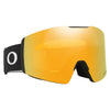 Fall Line L Adult Ski Goggles