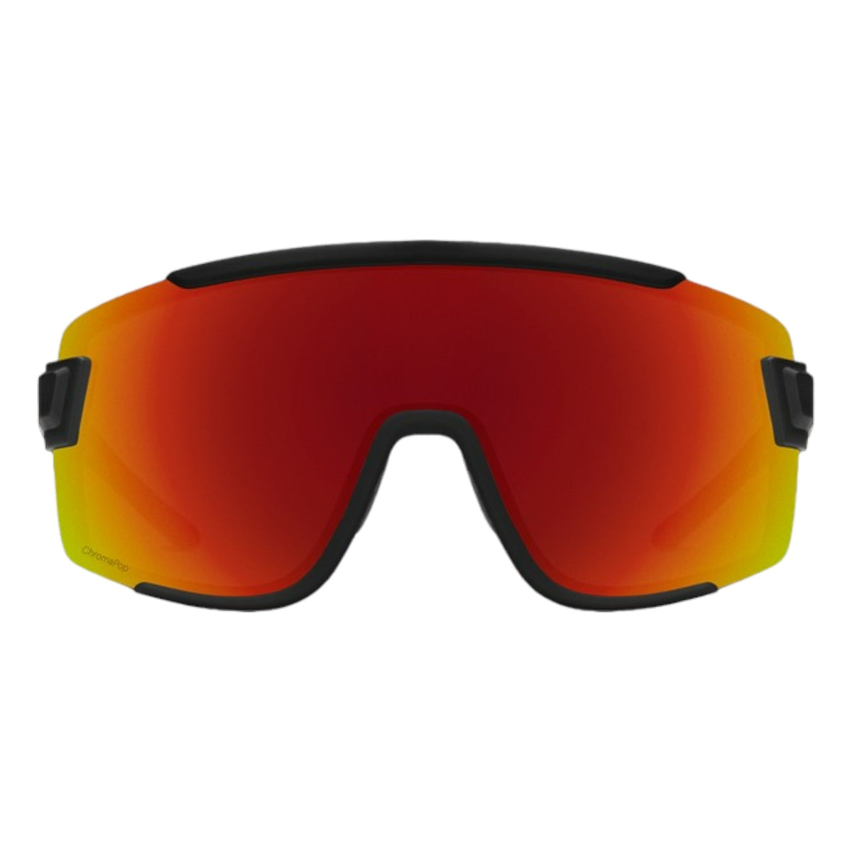 Lunettes de soleil Wildcat Adulte