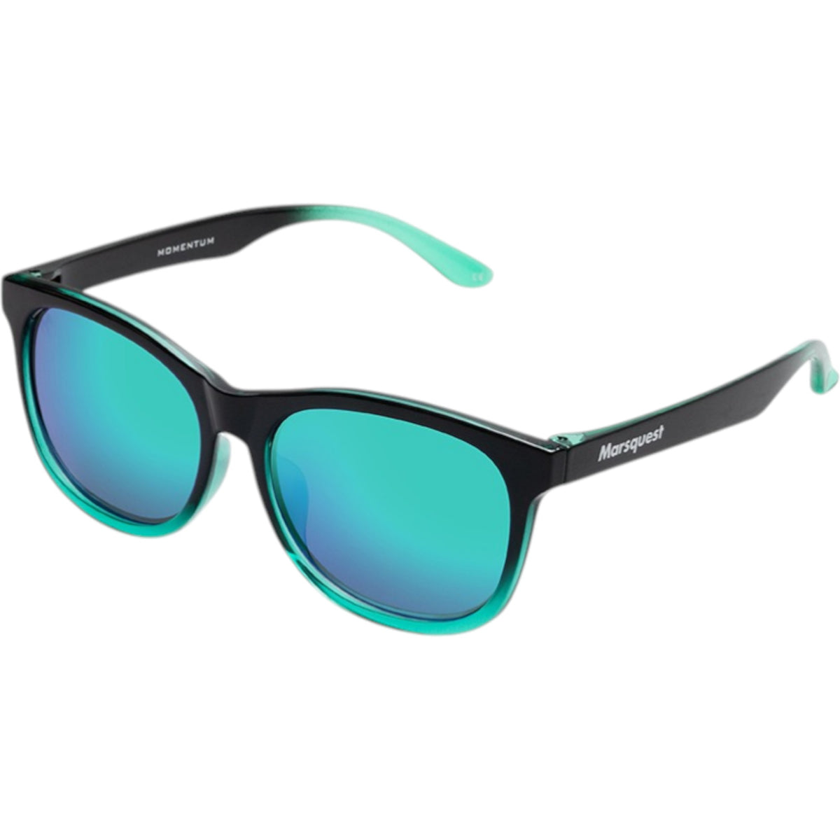Lunettes de Soleil Momentum Adulte