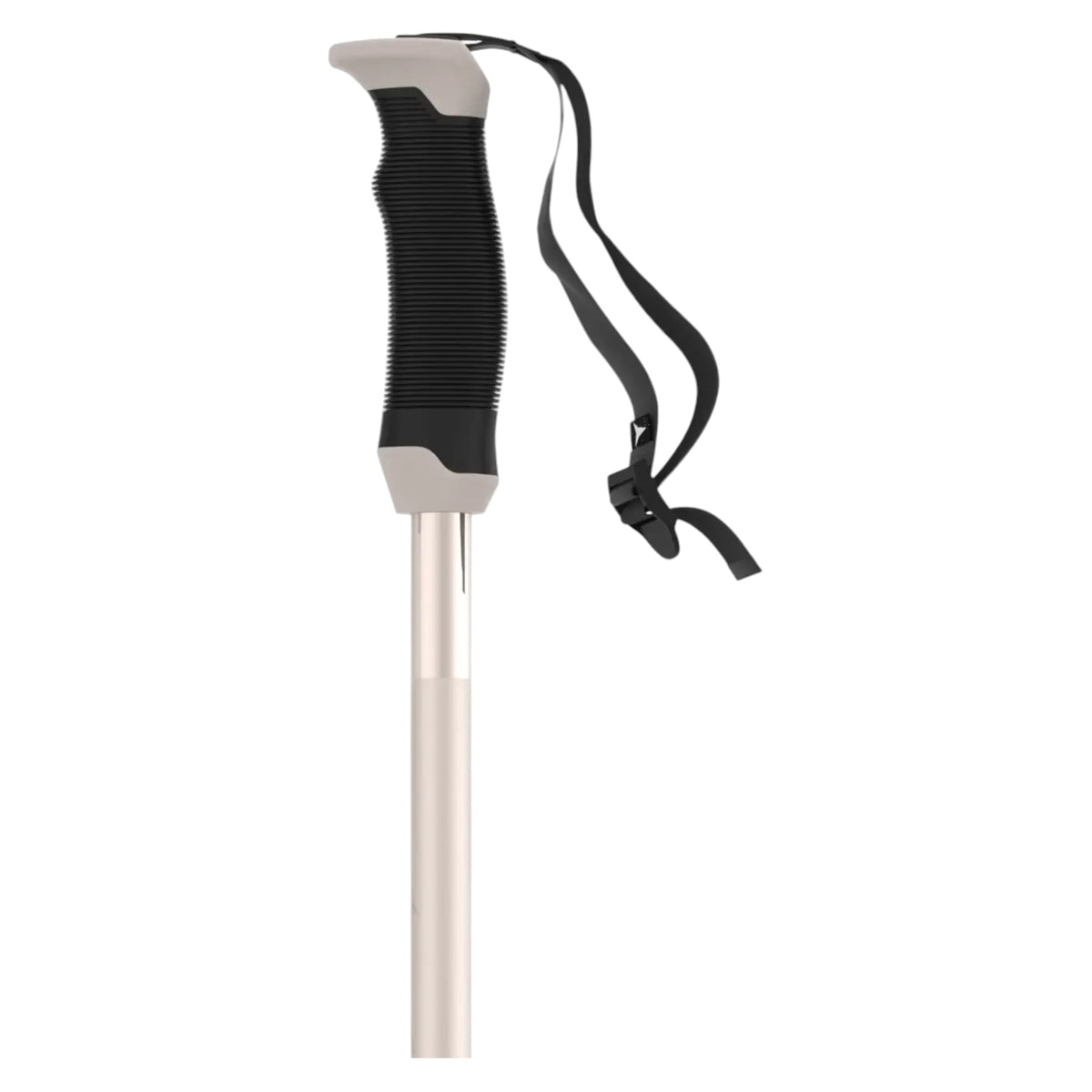 Bâtons de Ski Alpin AMT SQS Femme