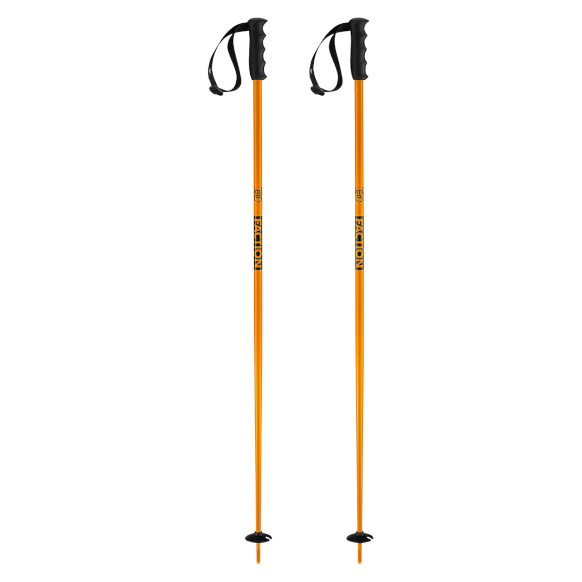 Prodigy Adult Ski Poles