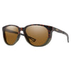 Lunettes de Soleil Seeker Adulte