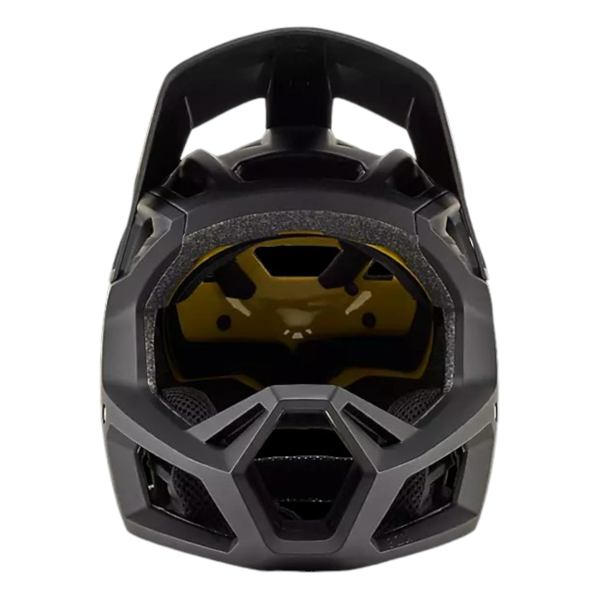 Casque Proframe Adulte