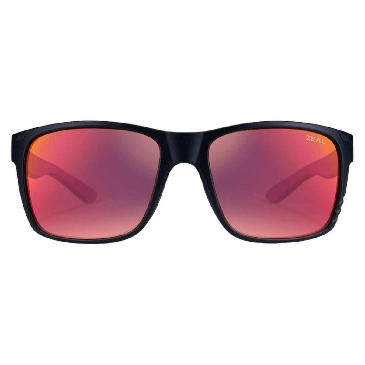 Lunette de Soleil Brewer Adulte