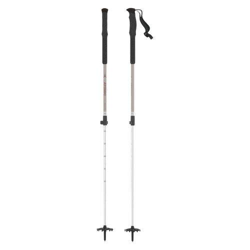 BCT Touring Adjustable Ski Poles