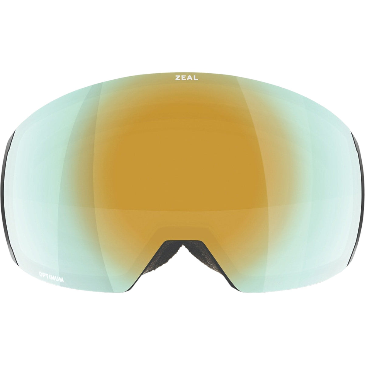 Portal XL Adult Ski Goggles