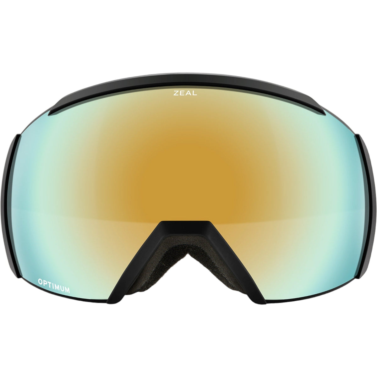 Lunettes de Ski Hemisphere Adulte