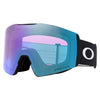Fall Line L Adult Ski Goggles