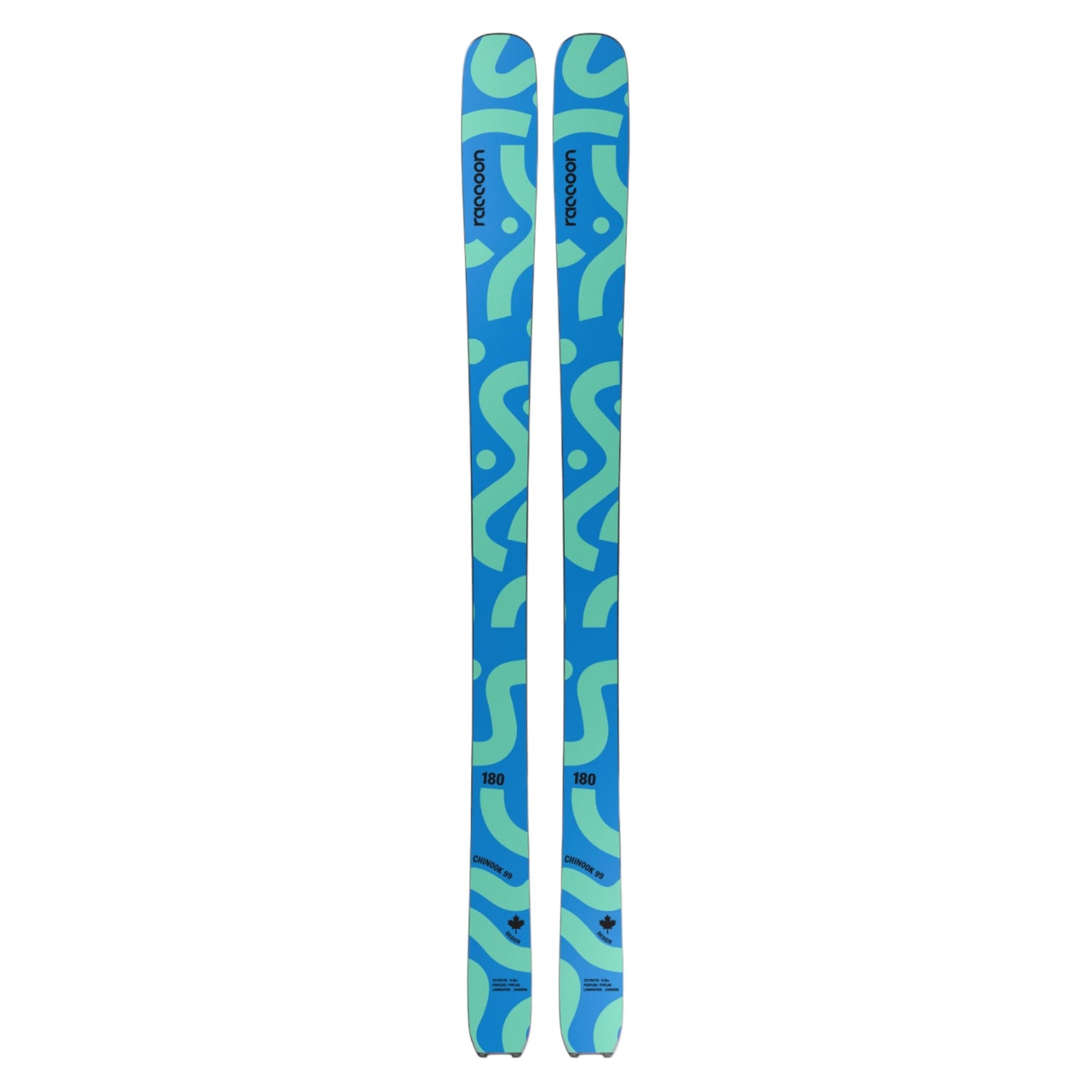 Skis Alpins Chinook Adulte