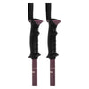 Triad Adult Ski Poles