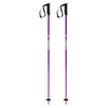 Prodigy Adult Ski Poles