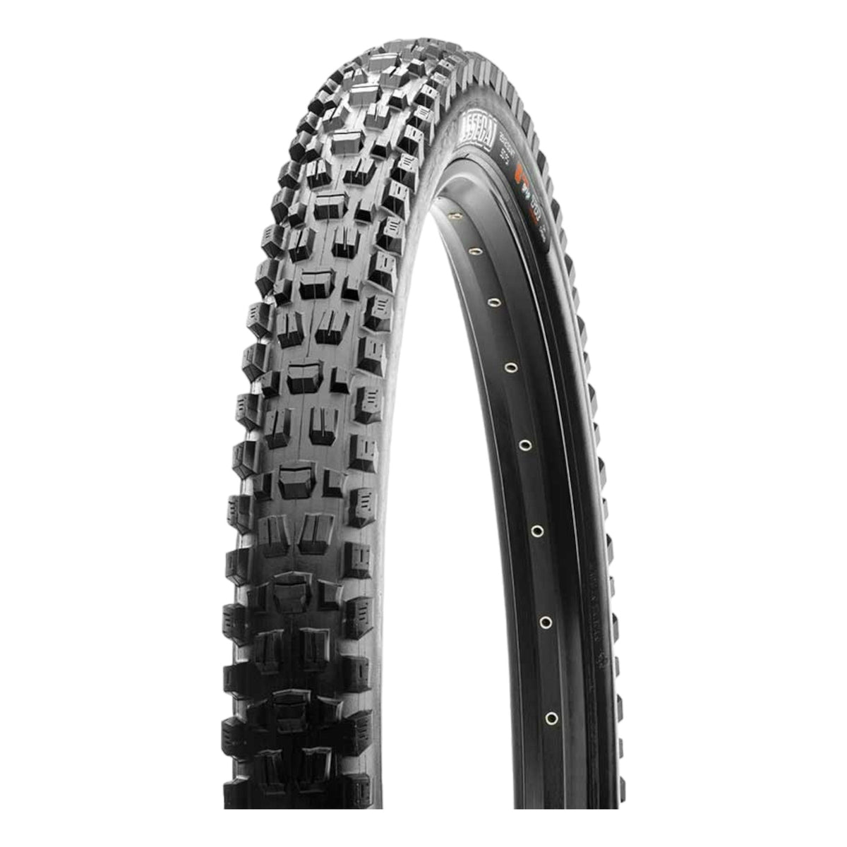 Pneu pour Vélo de Montagne Assegai