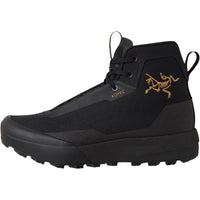Arc'teryx Noir/Noir.001704 10.0