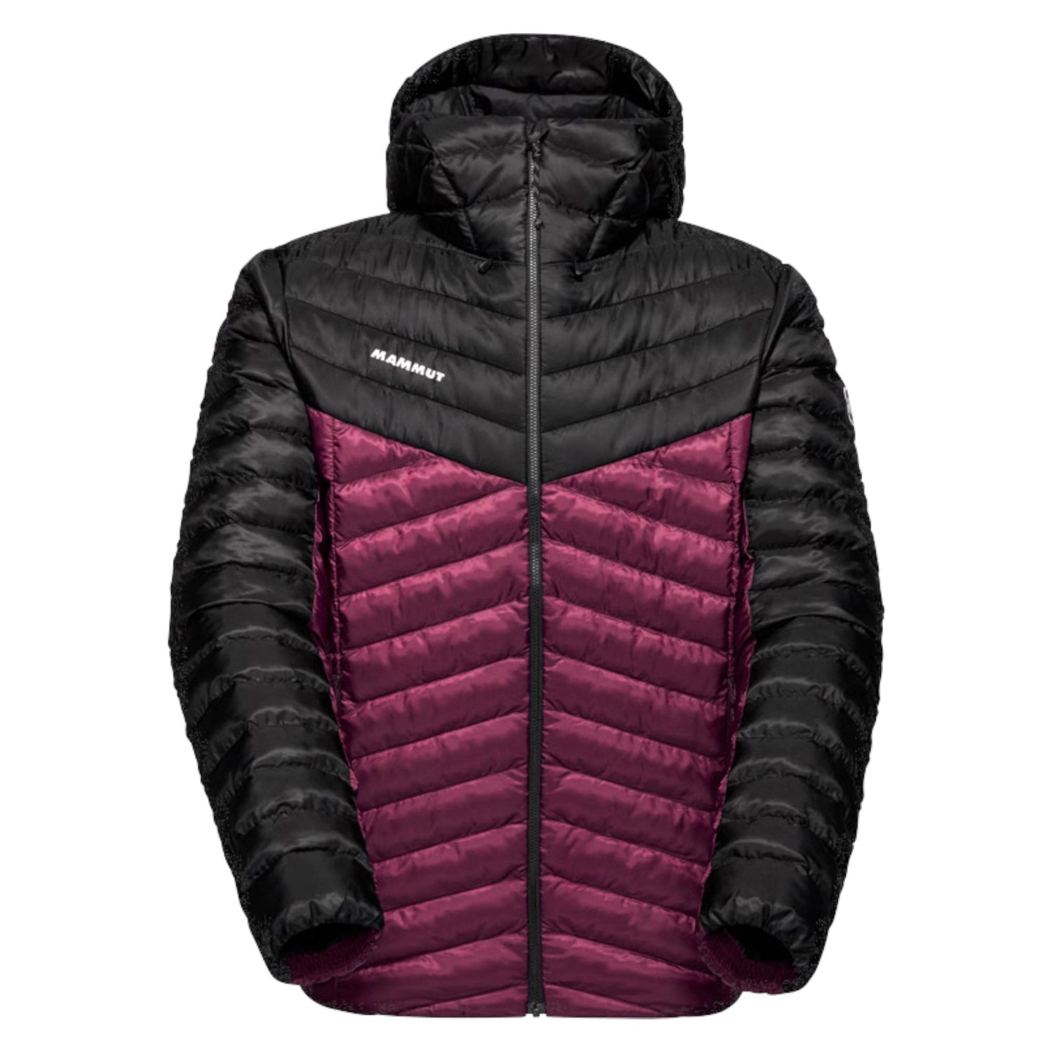 Veste à Capuche Isolante Albula IN Hooded Homme