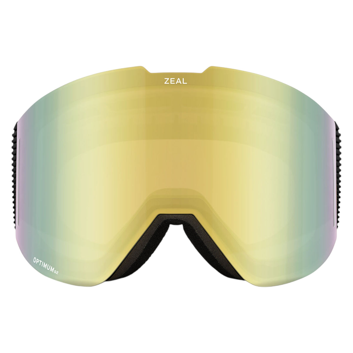 Lunettes de Ski Lookout RLS+ODT Adulte