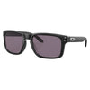 Lunettes de Soleil Holbrook Adulte