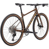 DSX 2 Adult Bike