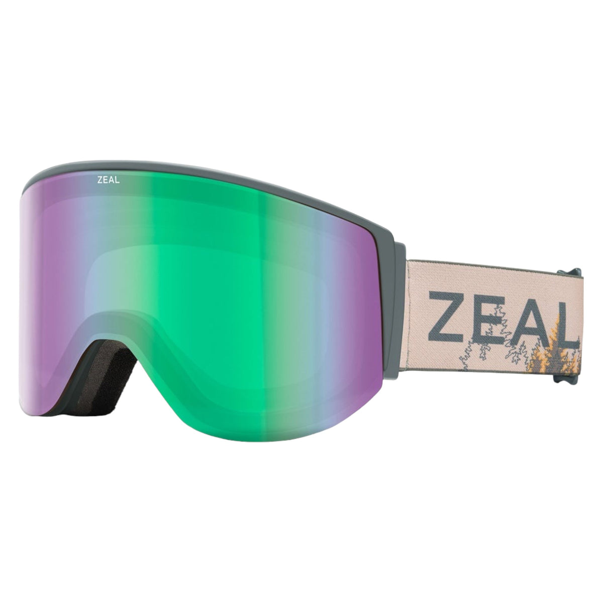Lunettes de Ski Hangfire Adulte