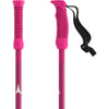 AMT Kids Ski Poles