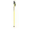 Pin Men Ski Poles