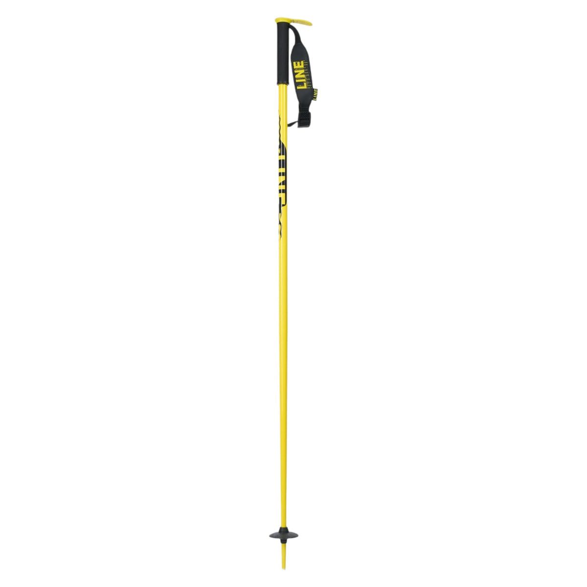 Pin Men Ski Poles