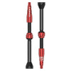 Valve Tubeless TLR