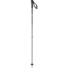 Arctic Adult Ski Poles