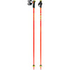 Bâtons de Ski Wyldbird TR Adulte