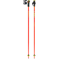 Bâtons de Ski Wyldbird TR Adulte