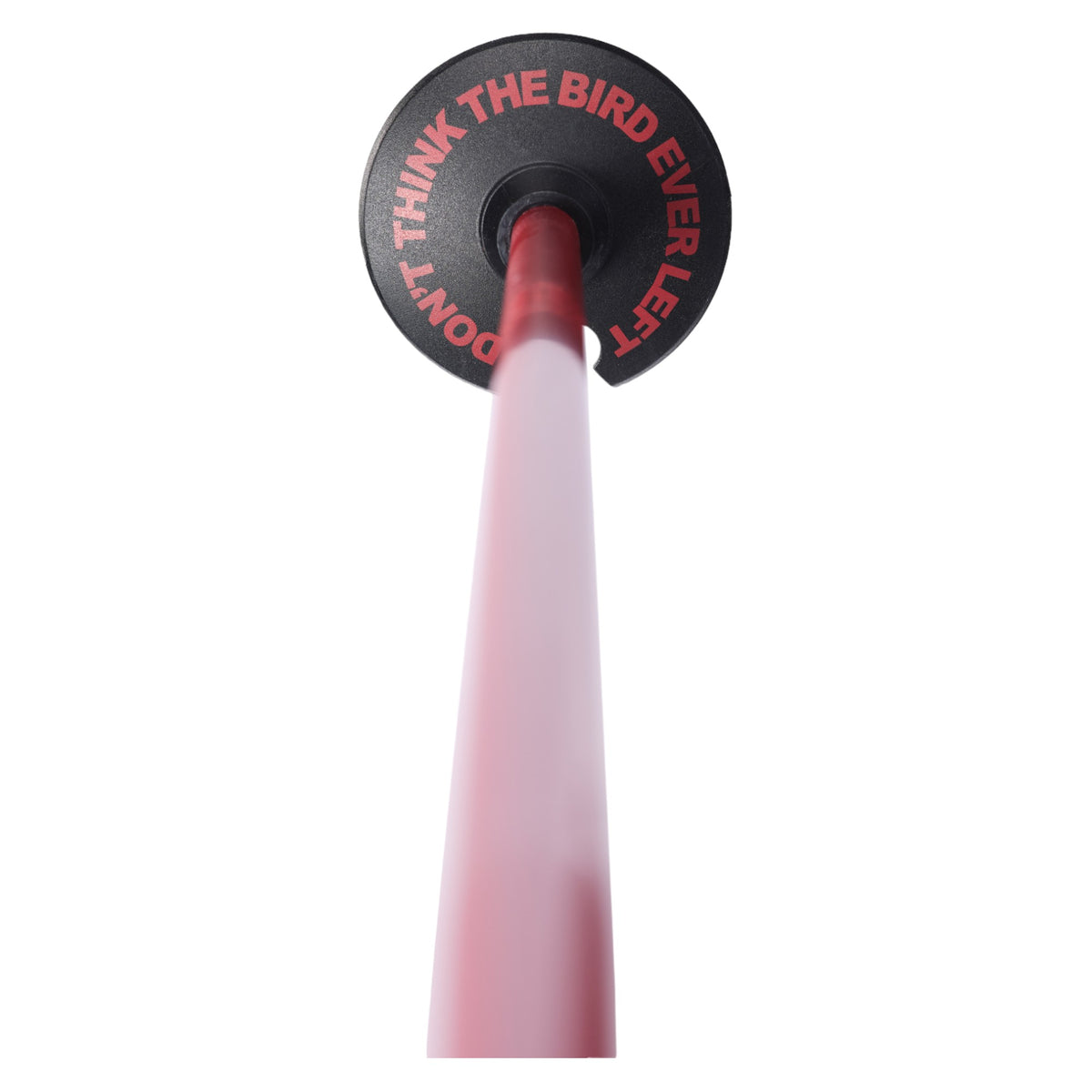 Wallischtick Adult Ski Poles