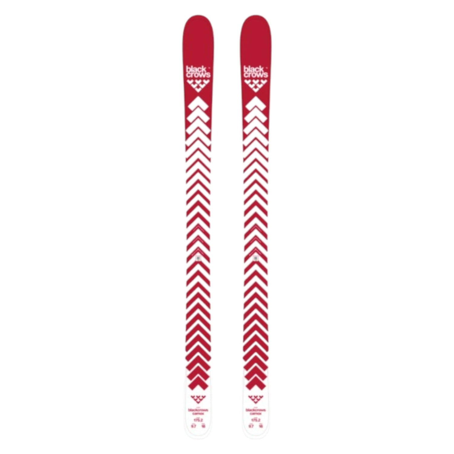 Camox Adult Alpine Skis
