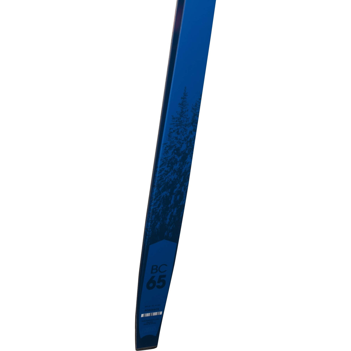 Skis de Fond BC 65 Positrack Adulte
