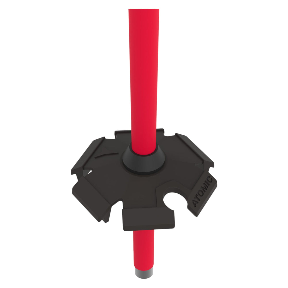 AMT Adult Ski Poles