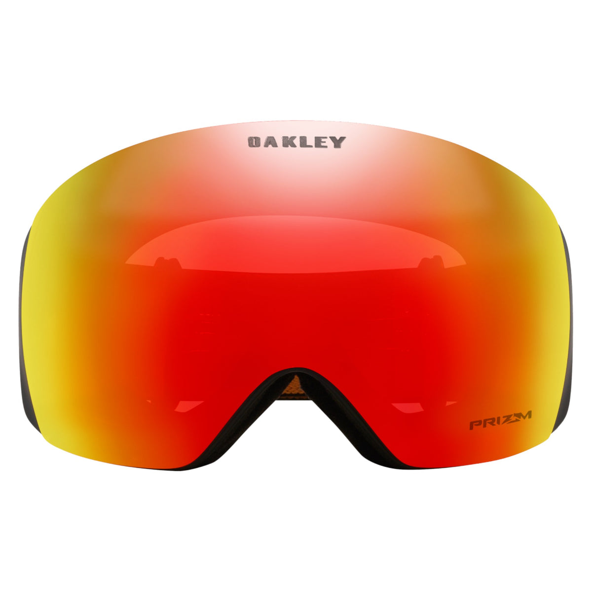 Flight Deck L Adult Ski Goggles