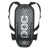 VPD System Adult Protection