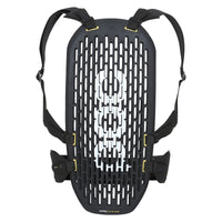VPD System Adult Protection