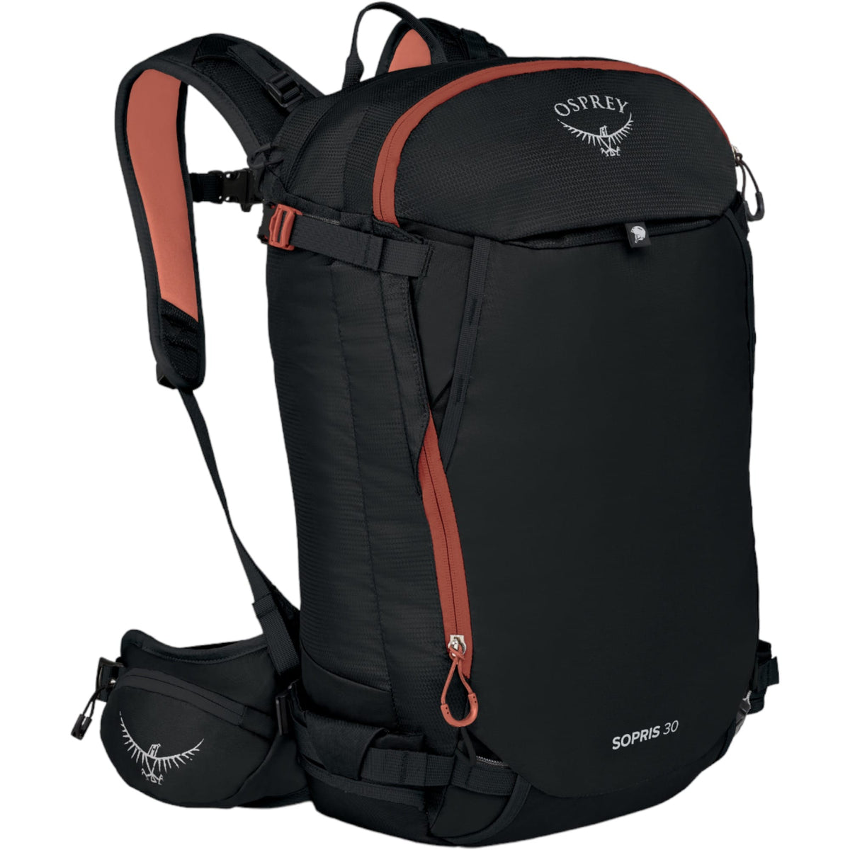 Sopris 30 Women Skis Bag