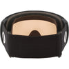 Flight Path L Adult Ski Goggles