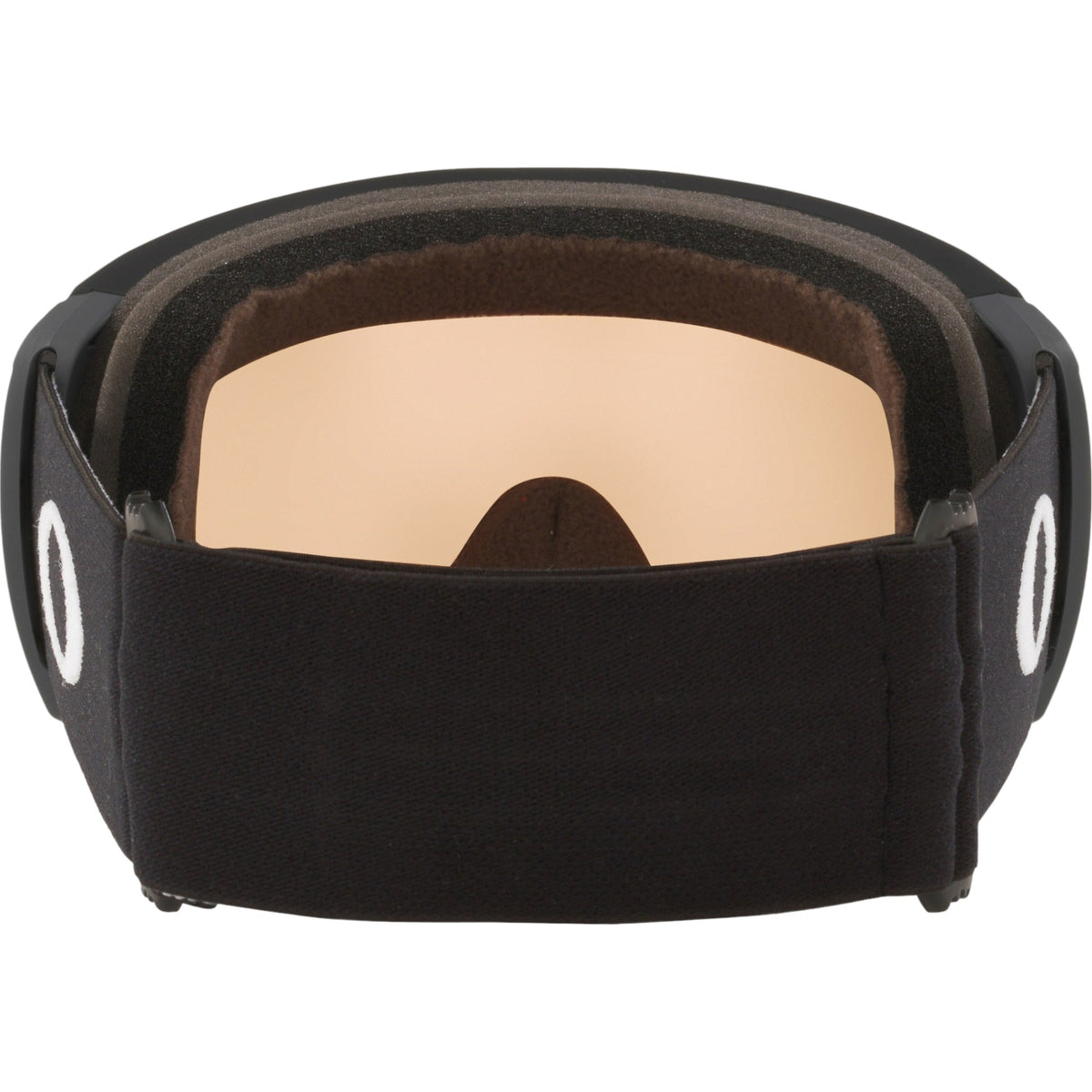 Flight Path L Adult Ski Goggles